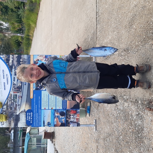 Image couldn't load :/