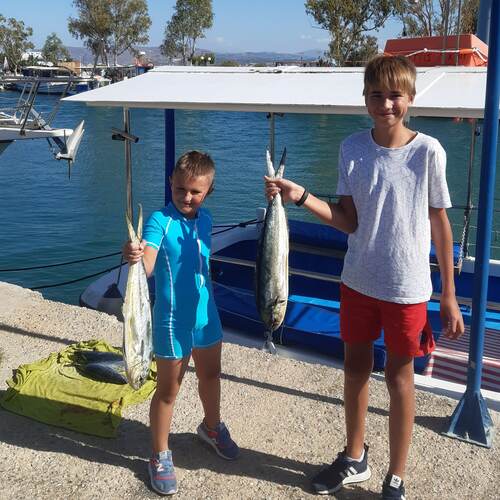 Image couldn't load :/